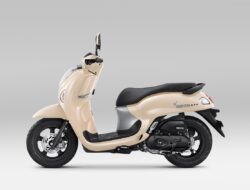 New Honda Scoopy Tampil Segar, Intip Pilihan Warna dan Harganya