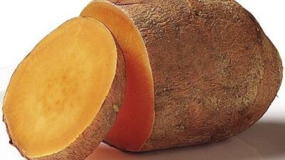 Jangan Biarkan Makanan Kukusan di Meja Seharian, Ini Dampaknya bagi Kesehatan