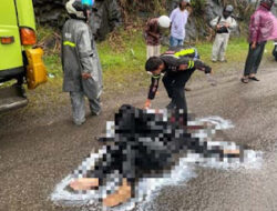 Tabrakan Sepeda Motor dan Truk di Gunung Talang, Satu Korban Meninggal