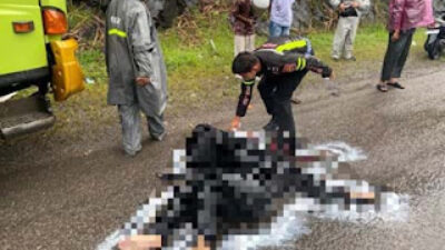 Tabrakan Sepeda Motor dan Truk di Gunung Talang, Satu Korban Meninggal