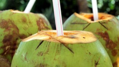Sebelum Minum Air Kelapa, Cek Dulu Apakah Kamu Termasuk yang Perlu Menghindarinya