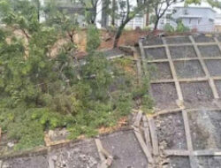 Material Tebing Ambruk, Area Parkir Kampus III UIN IB Ditutup Sementara