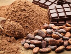 Ahli Ingatkan Dampak Anemia Besi pada Perkembangan Otak dan Prestasi Belajar Anak