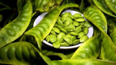 Meski enak, ada kelompok yang tidak boleh makan petai.