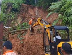 Jalan Warga Terhalang Pohon Tumbang di Koto Tangah