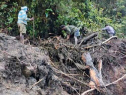 BNPB dan BPBD Percepat Penanganan Banjir Bandang di Nduga
