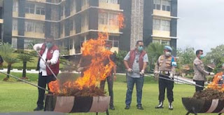 Direktorat Reserse Narkoba Polda Sumatera Barat memusnahkan puluhan kilogram ganja