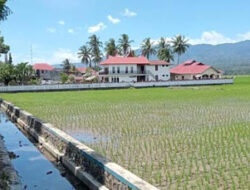 Saluran Irigasi Bandar Kapujan Bocor, Petani Kesulitan Air