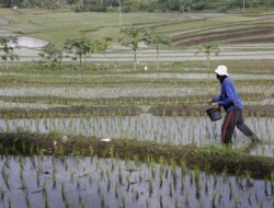 Pupuk Indonesia Dorong Transformasi untuk Ketahanan Pangan
