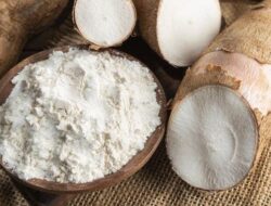 Tepung Tapioka vs Tepung Kanji, Mana yang Lebih Tepat untuk Masakan?