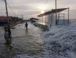 Waspada! BMKG Prediksi Pasang Maksimum Picu Banjir Pesisir Awal Tahun
