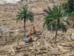 Kayu Hanyut Picu Kecurigaan, Polri dan KLHK Bentuk Tim Gabungan Telusuri Aktivitas Ilegal