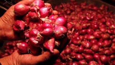 Harga bawang melonjak