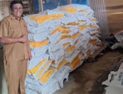 Nagari Sipangkur Dapat Dukungan Bibit Jagung dari Pemkab