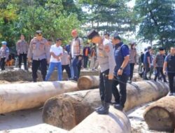 Penegakan Hukum Lingkungan Diperketat Usai Kayu Gelondongan Terseret Pantai