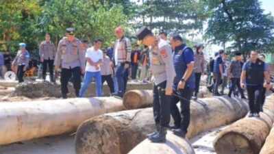 Penegakan Hukum Lingkungan Diperketat Usai Kayu Gelondongan Terseret Pantai
