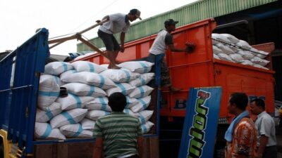 Deflasi Beras 2025 Jadi Indikasi Sistem Pangan Nasional Semakin Efisien