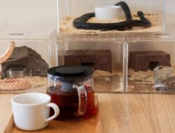 Lima Tips Minum Kopi yang Aman untuk Diet dan Bantu Bakar Lemak