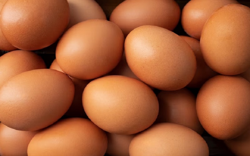 Surplus, Stok Telur Ayam Nasional Aman hingga Lebaran 2026.