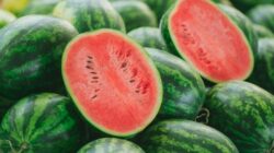 Semangka termasuk buah tinggi nutrisi dan menyegarkan. Namun tidak semua orang dianjurkan makan semangka.