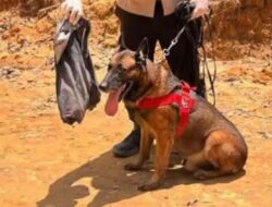 Polisi dan Masyarakat Hormati Pengabdian Reno Sang K9