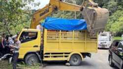 Truk Pengangkut Alat Berat Mundur Tak Terkendali.