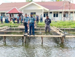 Dukung Ketahanan Pangan, Lanal Bengkulu Laksanakan Pelepasan Bibit Ikan Nila, Gurami, dan Lele