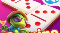 Mainkan Higgs Domino APK RP Versi Terbaru-V2.63 2025, Koin Gratis Menunggu