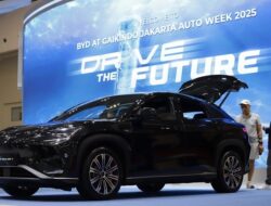 ATTO 1 Laris Manis, BYD Kian Kokoh di Pasar Kendaraan Listrik Nasional