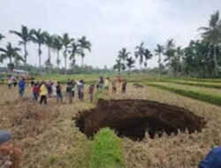 Warga Terkejut, Sawah Ambles Diduga Akibat Sinkhole