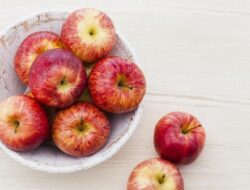 Dari Alpukat hingga Telur, Camilan Aman untuk Jaga Gula Darah