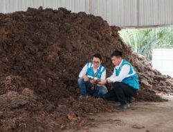 Kolaborasi PLN EPI dan Kementerian ESDM Percepat Pemanfaatan Bioenergi