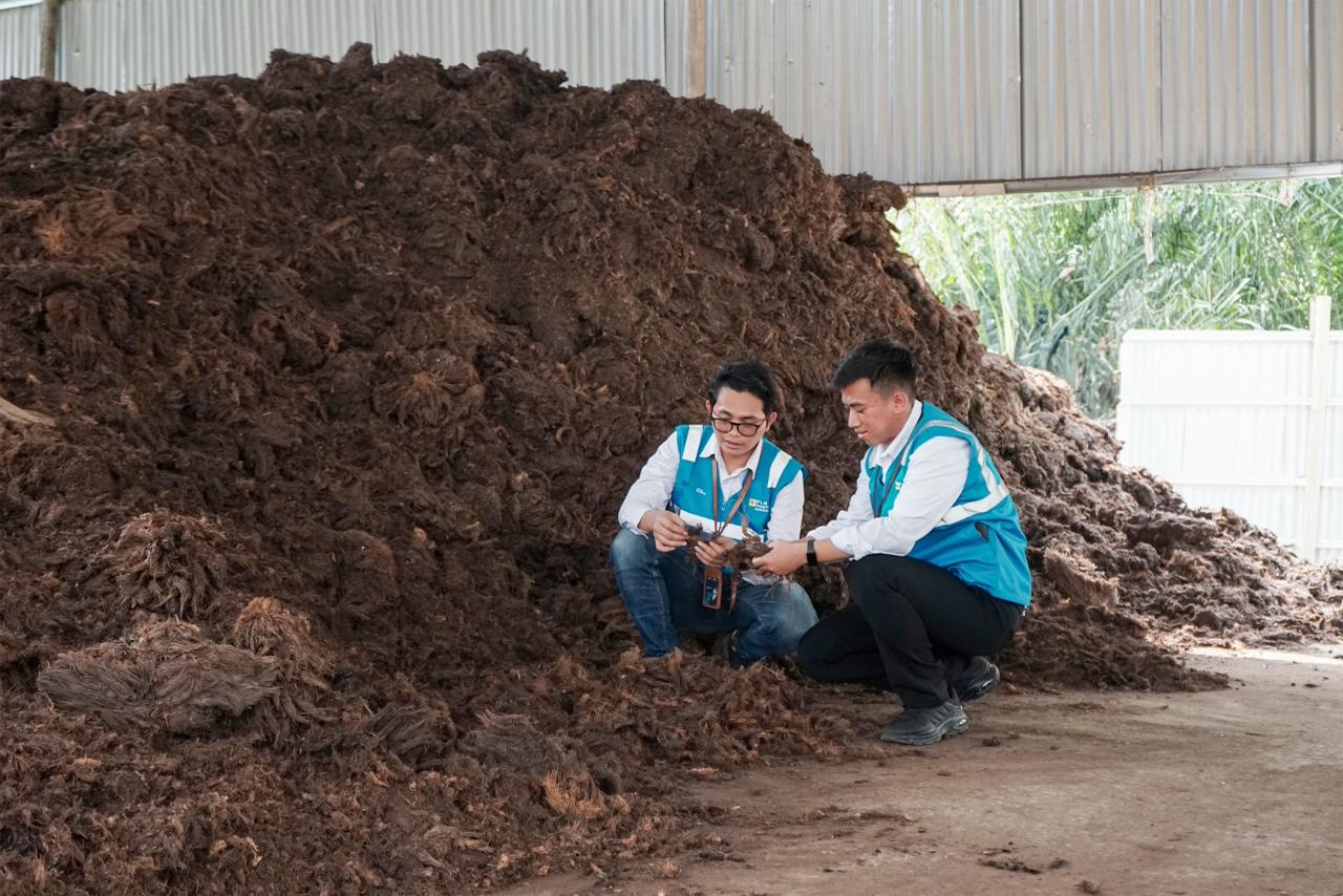 Cara Turunkan Emisi Karbon di RI Lewat Bioenergi.