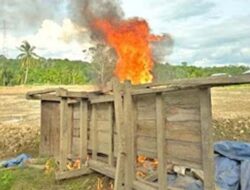 PETI Kian Marak, Sumbar Usulkan 301 Blok WPR sebagai Jalan Legal