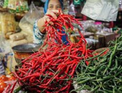 Bapanas Catat Fluktuasi Harga Pangan Nasional 4 Januari