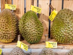 Demam Durian di China Ubah Musang King Jadi Buah Premium Kelas Dunia