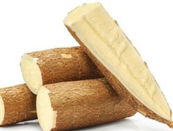 Sering Dianggap Aman, Singkong Mentah Ternyata Berisiko bagi Kesehatan