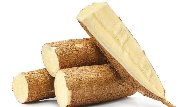 Ilustrasi. Singkong dapat berisiko terhadap kesehatan apabila dikonsumsi mentah tanpa dimasak dulu. Simak bahaya mengonsumsi singkong yang masih mentah.