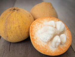 Menuai Pro dan Kontra, Buah Kecapi Simpan Banyak Nutrisi