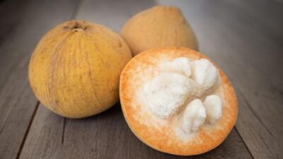 Ada banyak manfaat buah kecapi untuk kesehatan.