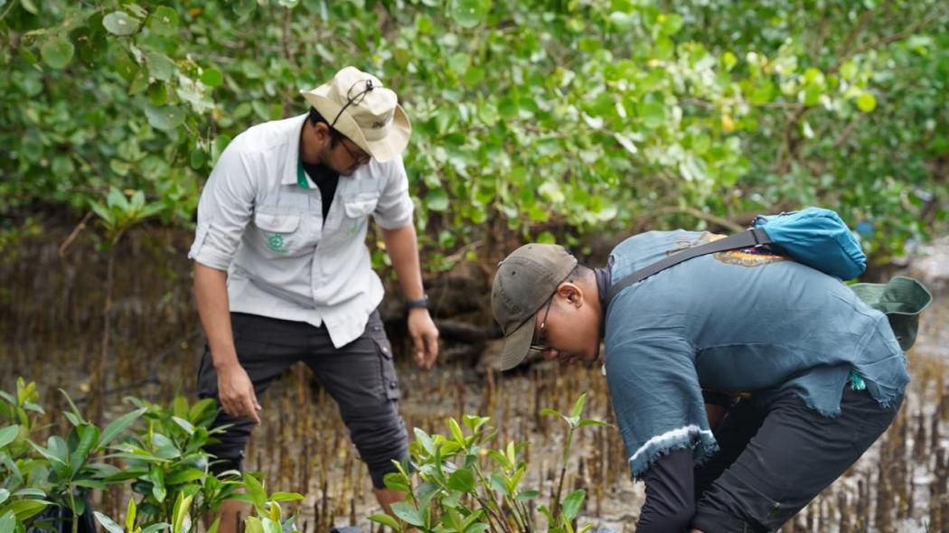 PT Indonesia Morowali Industrial Park (IMIP) terus berkomitmen menjaga keseimbangan ekosistem melalui program penanaman mangrove.