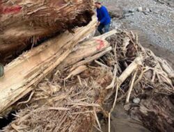Masyarakat Dipersilakan Gunakan Kayu Banjir Setelah Pelaporan