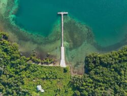 Taman Perairan Wetar Barat Ditetapkan, Lindungi Terumbu Karang hingga Jalur Paus