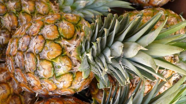 Ilustrasi buah nanas.