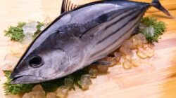 Tuna, salah satu ikan yang sebaiknya tidak dikonsumsi.