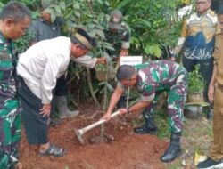 Peduli Lingkungan, Koramil 13/Cisoka dan Pemerintah Desa Munjul Gelar Gerakan Tanam Pohon