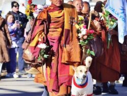 Kesetiaan Aloka dan Anjing Yudhistira