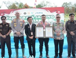 Polres Bengkayang Pecahkan Dua Rekor MURI dalam Panen Raya Jagung Serentak Kuartal IV 2025