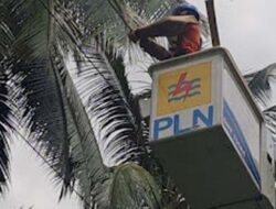 Sambut Ramadhan, PLN UID Sumatera Barat Perkuat Langkah Preventif Gangguan Jaringan