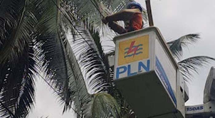 PLN Gencarkan Pembersihan Jaringan.